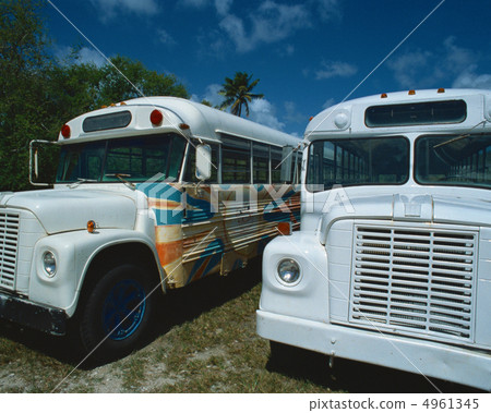Tropical · Vacation 4961345