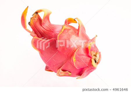 Dragon fruit  4961646