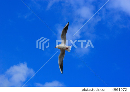 Urrican sky in blue sky Urrican sky in blue sky 4961972