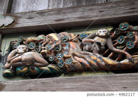 Three monkeys 4962117