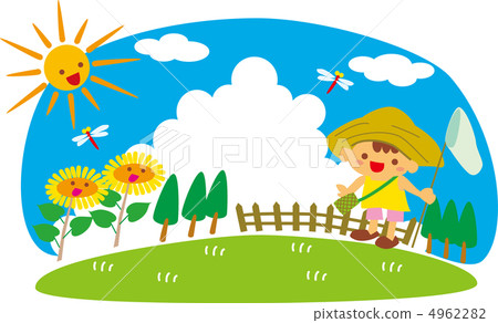 Summer vacation insect collection Summer vacation insect collection 4962282