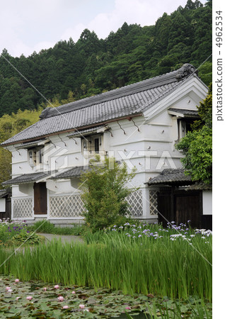 Civilization Civilization 4962534