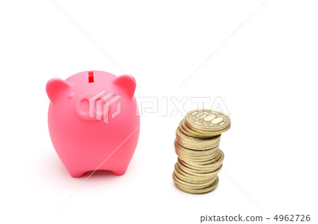 Pig's piggy bank 500 yen 4962726