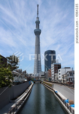 Sky tree  4964185