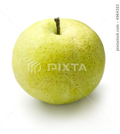 香梨 香梨 4964383