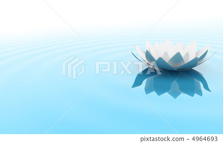 The flower 4964693