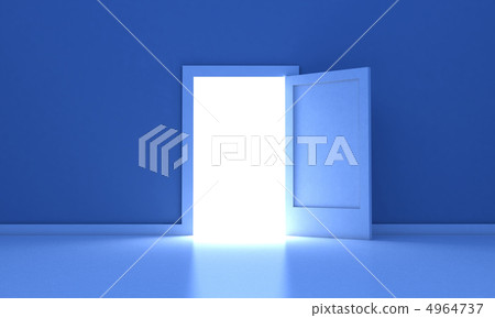 The door 4964737