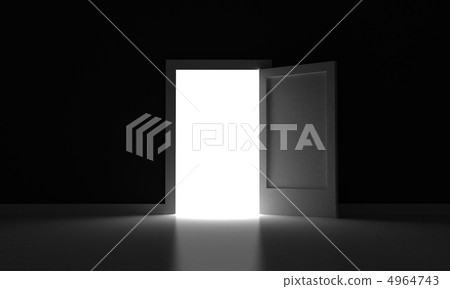 The door 4964743