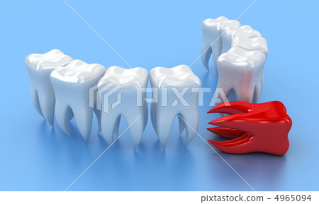 The teeth The teeth 4965094