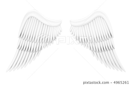Angel wings Angel wings 4965261