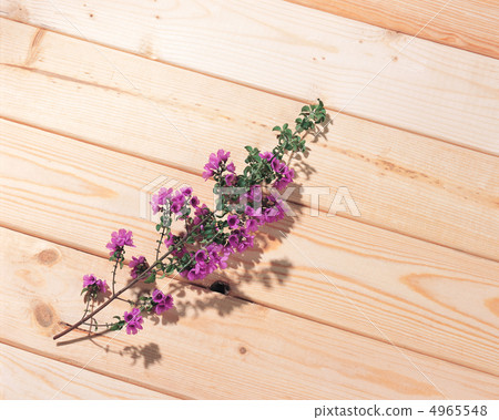 Herbal life dictionary 4965548