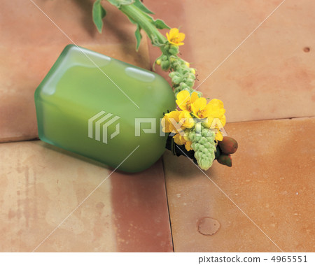 Herbal life dictionary Herbal life dictionary 4965551