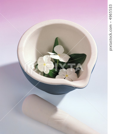 Herbal life dictionary 4965583