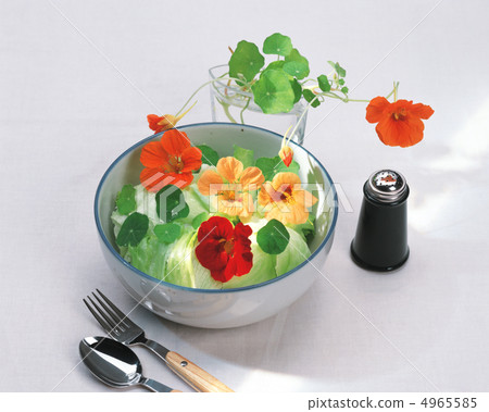 Herbal life dictionary 4965585