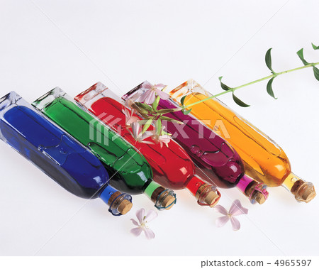 Herbal life dictionary Herbal life dictionary 4965597