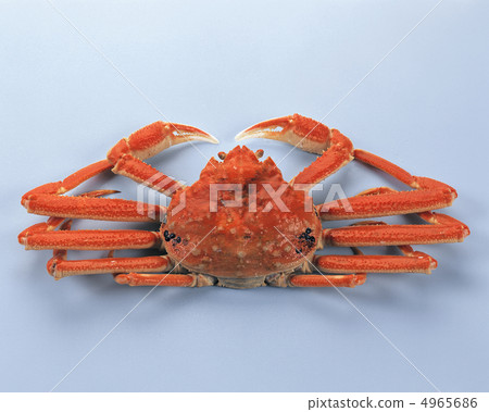 食物/魚和肉 4965686