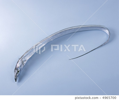 The food / fish & meat The food / fish & meat 4965700