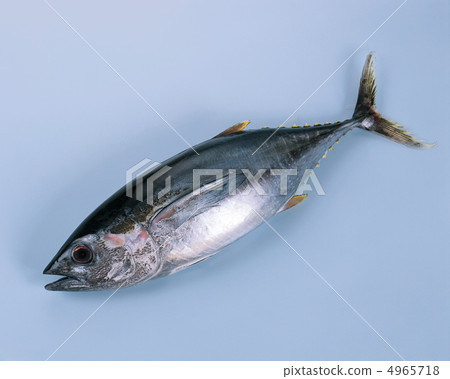 食物/魚和肉 食物/魚和肉 4965718