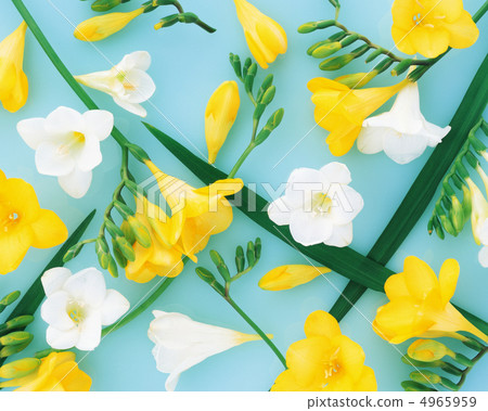 Flower pattern 4965959