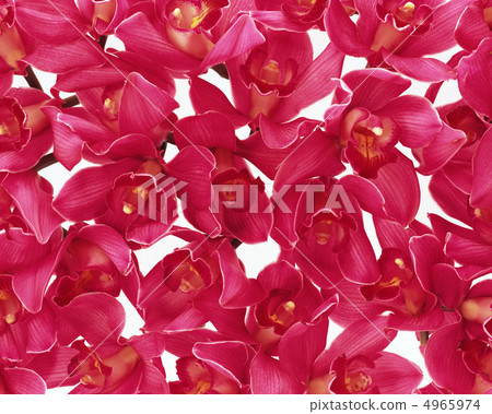 Flower pattern Flower pattern 4965974