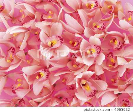 Flower pattern 4965982