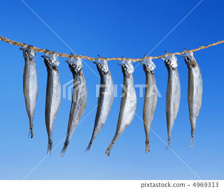 Delicious delicious taste Delicious delicious taste 4969313