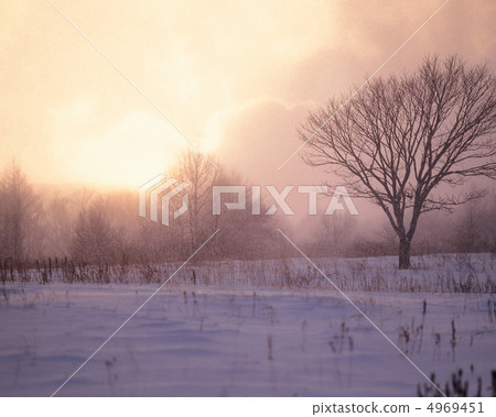 Winter scenery 4969451