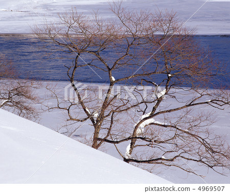 冬天的景色 4969507