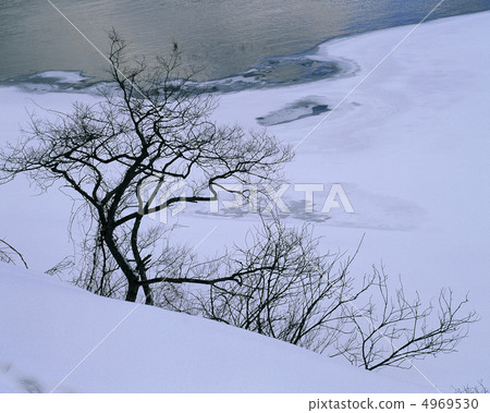 冬天的景色 4969530