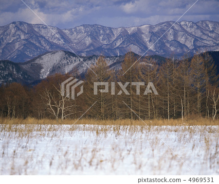 Winter scenery 4969531