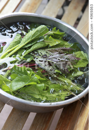 綠色沙拉葉子的食品成分用冰水 綠色沙拉葉子的食品成分用冰水 4969863