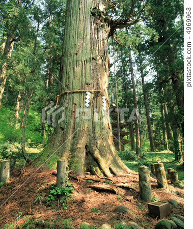 小學日本 小學日本 4969968