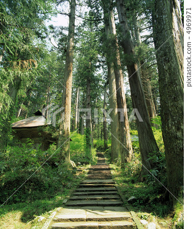 Primary Japan 4969971