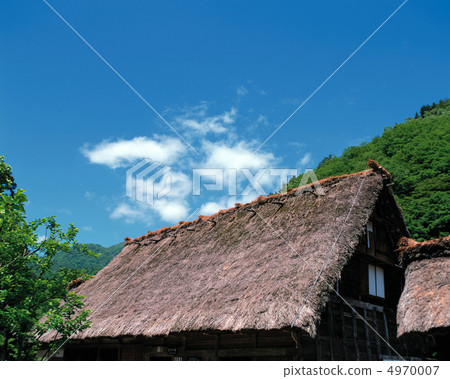 Primary Japan 4970007