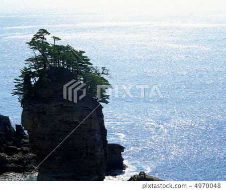 Shunko Noriyuki 4970048