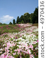 杜鵑花和藍天 4970436