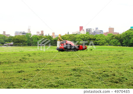 Grass cutter 4970485