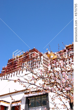 西藏/拉薩波塔拉宮和櫻花 4970795