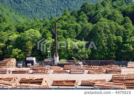Timber aggregation area 4970828