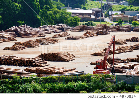 Timber aggregation area 4970834