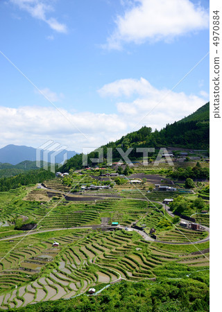 Maruyama Senjita Maruyama Senjita 4970884
