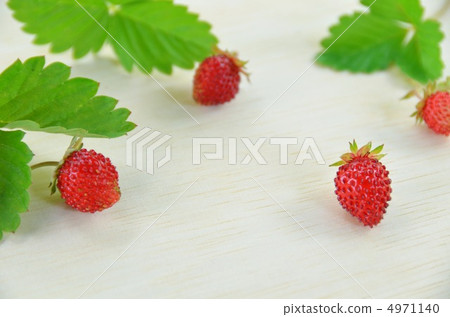 野草莓 4971140
