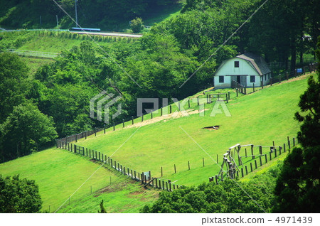 六月土地和草原09草 六月土地和草原09草 4971439
