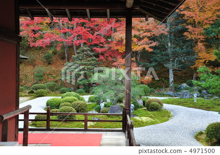 京都Mangyoin的秋天 4971500