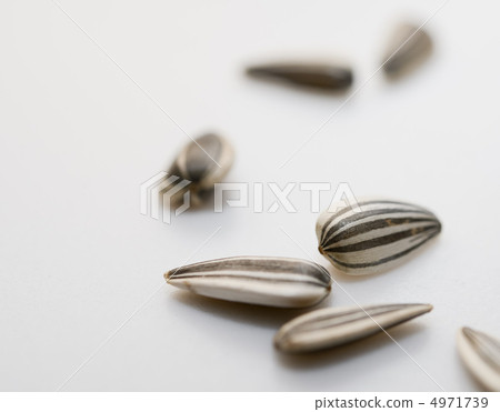 Sunflower seeds 4971739