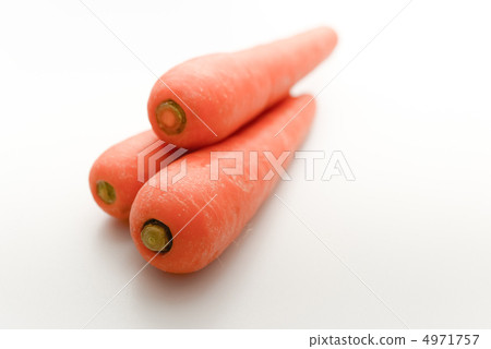 紅蘿蔔 4971757