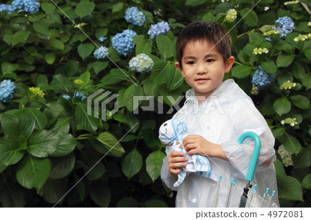 雨季雨季雨（男孩兒童小學生繡球花繡球） 4972081
