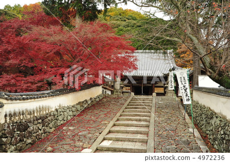 Fall of Kyoto Hodosariji temple 4972236