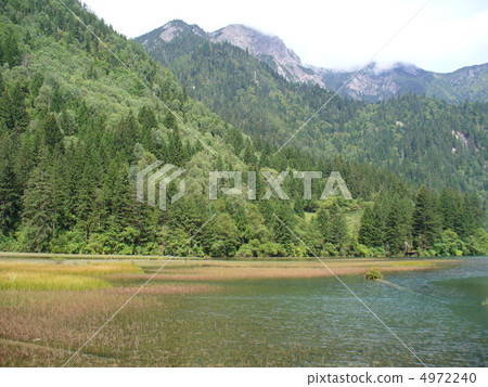 Jiuzhaigou Sea Bamboo 4972240