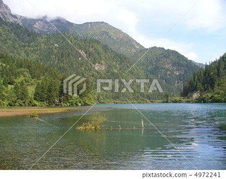 Jiuzhaigou Sea Bamboo 4972241